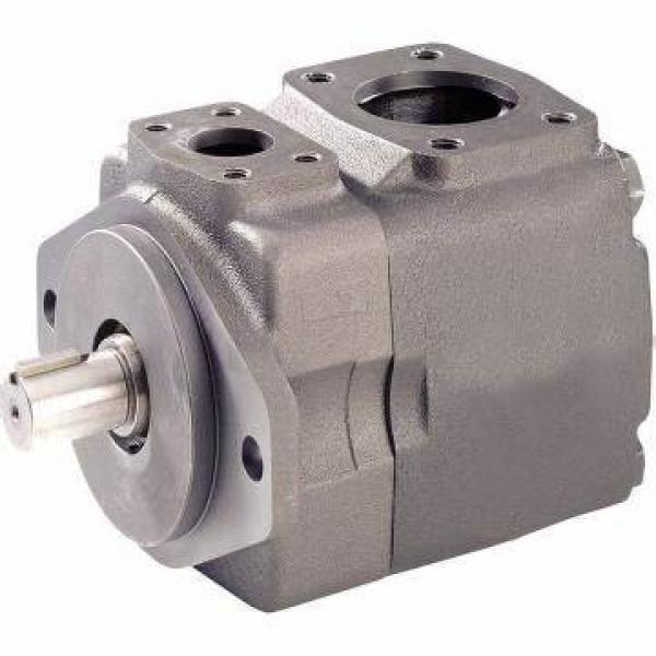 Rexroth R901074802 PVV21-1X/060-018RB15DDMB Vane pump #1 image