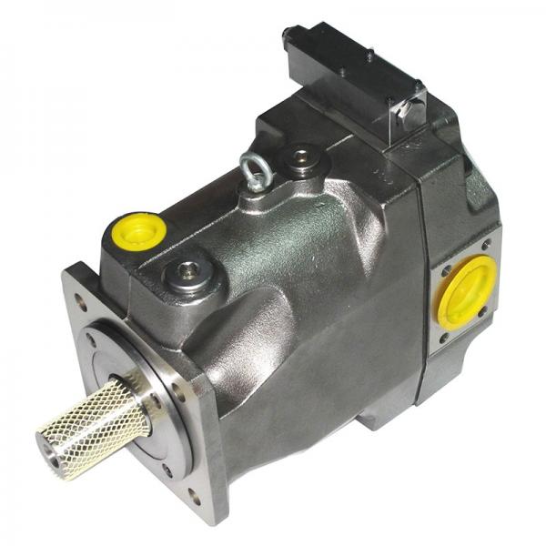 PAKER 50T-17-FR-1 Piston Pump #1 image