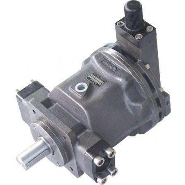 PAKER 50T-17-FR-1 Piston Pump #2 image